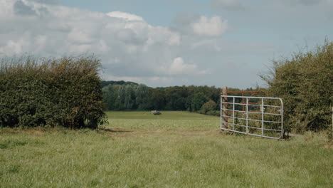 Open-farm-gate-into-large-field
