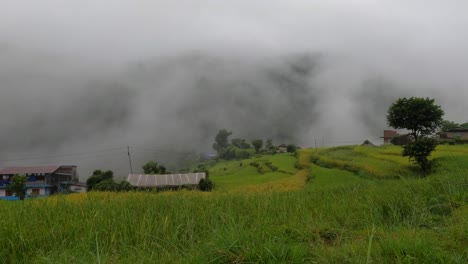 Ein-Wunderschöner-Schwenkblick-Auf-Die-Grünen-Terrassierten-Reisfelder-Auf-Einem-Hügel-Mit-Einem-Regensturm-Und-Dichtem-Nebel,-Der-Sich-Durch-Das-Tal-Bewegt