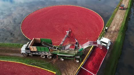 A-berry-pump-moves-cranberries-from-the-marsh-into-a-separator-to-be-cleaned-and-transported