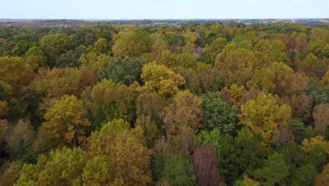 Aerial-of-fall,-autumn-leaves-Trees-in-Clemmons-North-Carolina