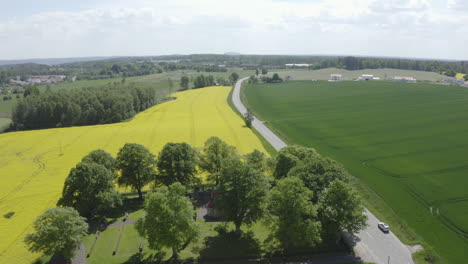 Luftbild-über-Gelbe-Rapsfeldlandschaft-Mit-Einsamem-Haus