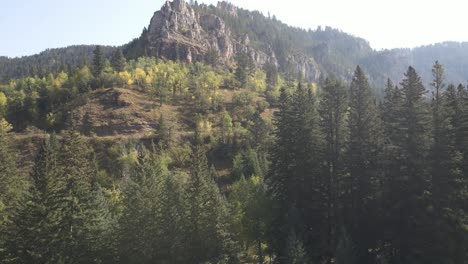 Drone-flying-above-changing-trees-in-Spearfish-Canyon