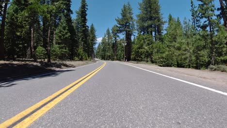 Drive-down-a-forest-mountain-road-with-no-cars-15-seconds
