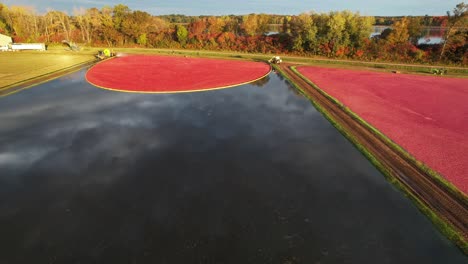 Cranberry-Sümpfe-Sind-Bereit-Für-Die-Ernte-In-Central-Wisconsin