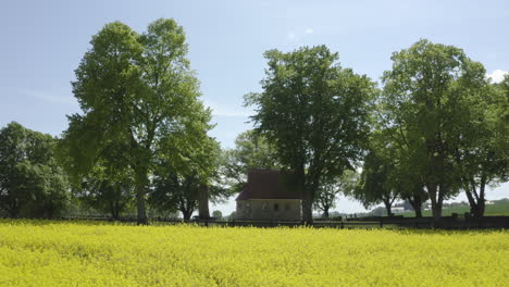 Close-up-drone-shot-of-a-small-lonely-house-surrounded-by-trees-and-farmland-fields-with-yellow-canola-rapeseed-flowers-in-Sweden