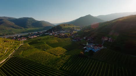 High-energy-fpv-shot-flying-through-trees-and-a-sign-revealing-the-beautiful-autumn-sunset-coloring-the-city-of-Spitz-and-the-surrounding-vineyards-during-autumn-season