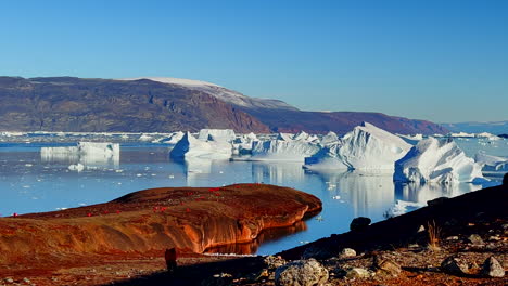 Iceberg-graveyard-in-East-Greenland-fjords