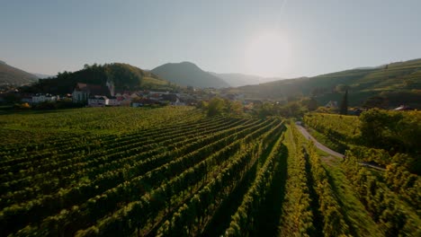 Quickly-descending-the-hills-of-wachau-valley-revealing-an-incredible-view-of-the-town-Spitz,-showing-the-incredible-autumn-colors-lit-by-a-beautiful-sunset