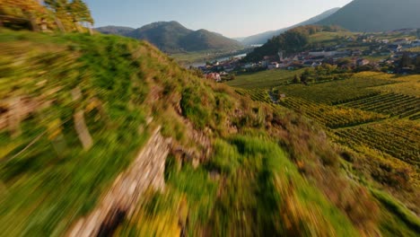Dynamic-fpv-shot-soaring-over-vineyards-next-to-painterly-stone-walls-at-close-proximity,-revealing-a-beautiful-sunset-view-of-Spitz-in-the-wachau-valley