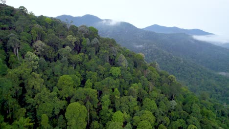 Eine-Drohnenaufnahme-Einer-Grünen-Waldlandschaft-Im-Hintergrund-Am-Spiegelsee,-Ipoh,-Perak,-Malaysia