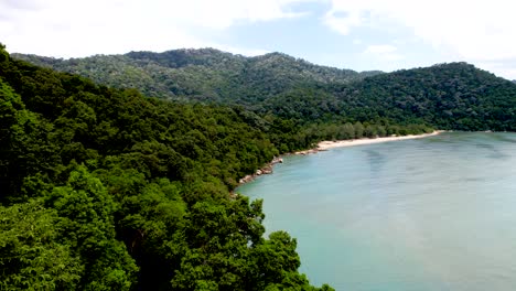 An-aerial-shot-of-wild-coastline-lush-exotic-green-jungle-in-Penang-National-Park,-Malaysia