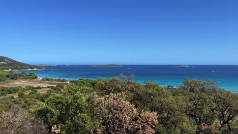 Aerial-panning-view-of-famous-Palombaggia-beach-in-south-Corsica-surrounded-by-pine-trees-with-azure-and-blue-clear-sea-water-in-background-,-France