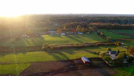 Aerial-drone-view-sunrise-cows-on-agricultural-land-countryside-Rehoboth,-MA