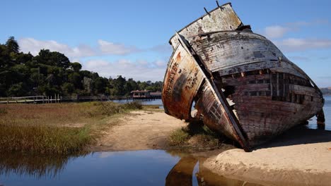 Tilting-shot-of-rotting,-shipwrecked-Point-Reyes-boat-washed-up-on-a-sunny-Tomales-Bay-shore-with-docks-in-the-background