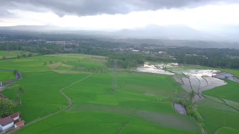 Aerial-footage-of-green-rice-field-with-a-high-voltage-electric-tower-built-in-the-middle