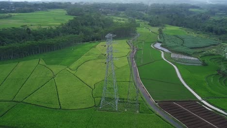POI-drone-shot-of-high-voltage-electric-tower-built-in-the-middle-of-green-rice-field