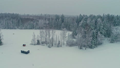 Aerial-view-of-uncomfortable-grey-winter-day-outdoors-in-snow-covered-forest-landscape