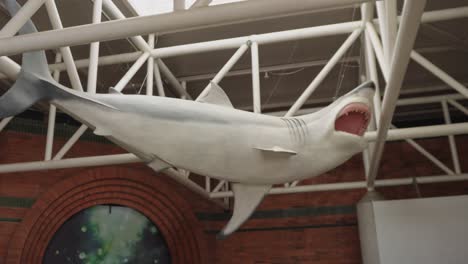 Eine-Hängende-Haifigur-In-Einem-Interaktiven-Park