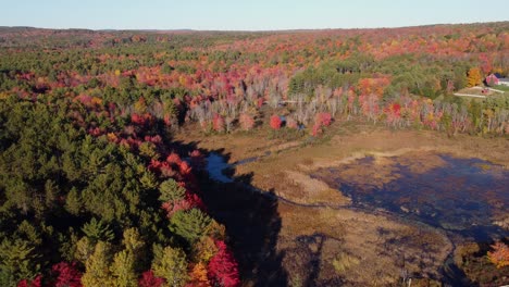 High-Pan-up-of-a-vast-forest-and-pond-in-the-Fall