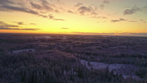 Aerial-flight-over-snowy-winter-landscape-with-spruce-trees-during-golden-sunset-in-Latvia,Europe