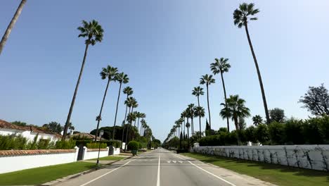 Palmen-Säumen-Die-Straße-In-San-Roque-In-Spanien