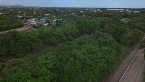 Vista-Aérea-De-Pájaros-Sobre-árboles-Forestales-Y-Ríos-Que-Dividen-Haití-Y-República-Dominicana-Durante-El-Día-Soleado