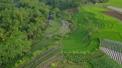 Vista-Aérea-Del-Paisaje-Rural-De-Indonesia