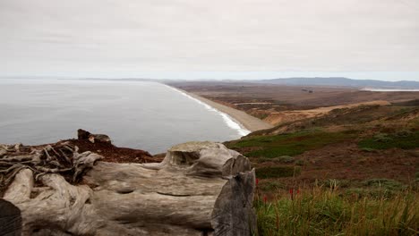 Panning-shot-of-Point-Reyes-beach-and-shoreline-on-a-cloudy-day-with-dead-log-in-foreground