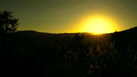 Sonnenuntergang-über-Bergfeld-Aufgehender-Sonnenuntergang-Erschossen-Gelbe-Sonne-über-Schattigen-Bäumen-Und-Pflanzen