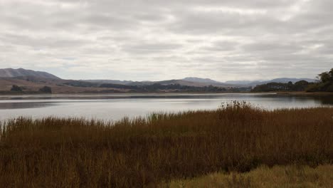 Panning,-then-static-shot-of-Tomales-Bay-on-a-partly-cloudy-day-with-a-brown-marsh-in-the-foreground-and-hills-in-back