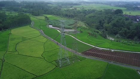 Orbit-drone-shot-of-green-rice-field-with-a-high-voltage-electric-tower-built-in-the-middle