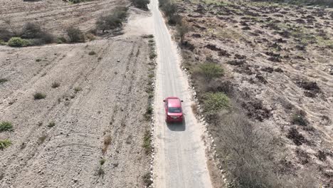 Aerial-revealing-shot-of-a-moving-red-vehicle-along-a-dusty-and-hilly-highway-in-the-desert-in-peru-on-the-way-to-the-holy-city-of-caral-with-view-of-withered-trees-and-mountains-on-a-sunny-day