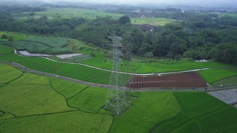 Drone-video-of-green-rice-field-with-a-high-voltage-electric-tower-built-in-the-middle-with-road-access