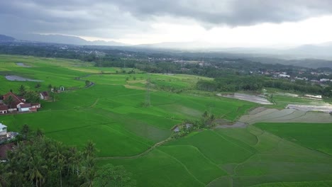 Aerial-footage-of-high-voltage-electric-tower-built-in-the-middle-of-green-rice-field-with-a