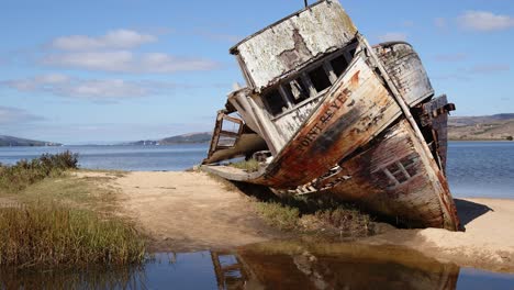 Tilting-shot-of-rotting,-shipwrecked-Point-Reyes-boat-washed-up-on-a-sunny-Tomales-Bay-shore