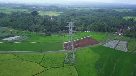 high-voltage-electric-tower-on-the-middle-of-rice-field