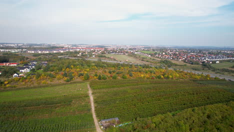 Vista-Aérea-De-Campos-Y-Plantaciones-En-Straszyn,-Gdansk,-Norte-De-Polonia---Disparo-De-Drones