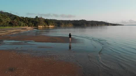 Frau,-Die-Morgens-Am-Strand-Läuft,-Luftdrohne-Nach-Ansicht,-Cornwallis-Beach,-Neuseeland