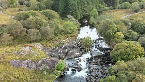 A-black-river-cascading-among-trees-and-fields-in-Ireland-wild-valley