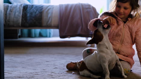 La-Niña-Se-Sienta-Y-Juega-Con-La-Mascota-Jack-Russell-Terrier