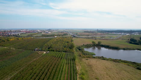 Lago-Tranquilo-Y-Plantación-En-El-Pueblo-De-Straszyn-En-Gdansk,-Polonia---Toma-Aérea-De-Drones