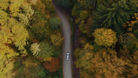 Aerial-tracking-shot-of-a-grey-car-driving-on-a-forest-road-near-water-stream,-among-mountain-trees,-clear-peaceful-day