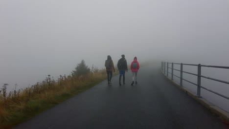 Shot-taken-while-walking-through-road-covered-with-thick-white-fog-beside-a-railing-along-rural-countryside-at-daytime