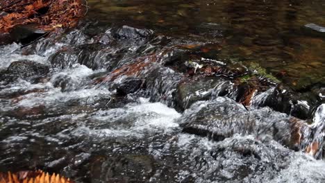 A-small-cascade-waterfall-with-calming,-relaxing-whitewater-flowing-over-small-rocks-in-shallow-stream-creek,-golden-brown-leaves,-in-wilderness-of-New-Zealand,-Aotearoa