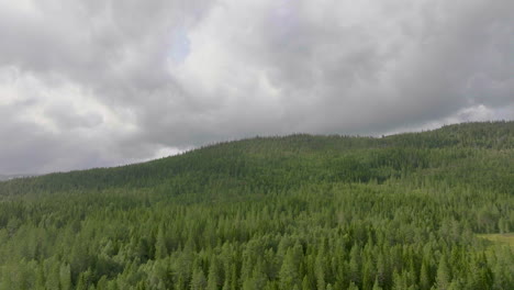 Forested-Mountains-With-Spruce-Trees-Near-Namsskogan,-Northern-Norway
