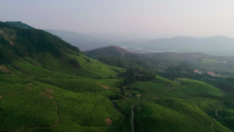 Drone-shot-of-Munnar-Tea-Plantations