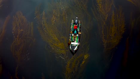 Camo-Inflatable-boat-in-la-jolla-kelp-forest