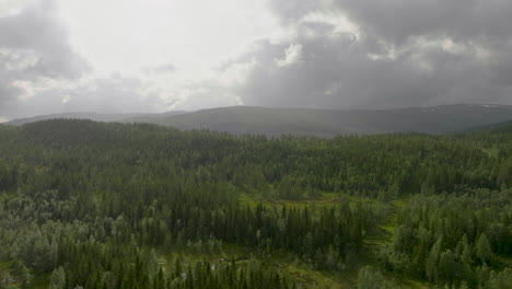Aerial-Drone-View-Of-Vast-Spruce-Forest-And-Hills-Against-Dramatic-Sky-Near-Namsskogan,-Norway