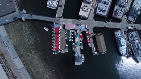 Eco-Boat-Rentals,-H-M-Landing-aerial-view