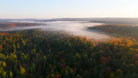Wide,-Aerial-reveal-of-beautiful-Autumn-trees-covered-in-mist,-fog,-cloud,-during-cool,-bright,-sunny-day